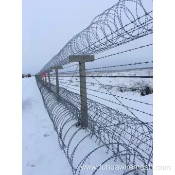 Heavy Galv. Concertina Razor Wire Fence for Protection